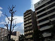 阿波座駅より徒歩6分 11階 築27年10ヶ月の賃貸物件