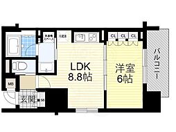 リーガル南堀江 5階/-