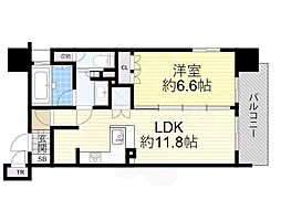 リーガル南堀江 14階/-
