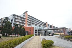 ゼファーアートフィールズフェアステージ