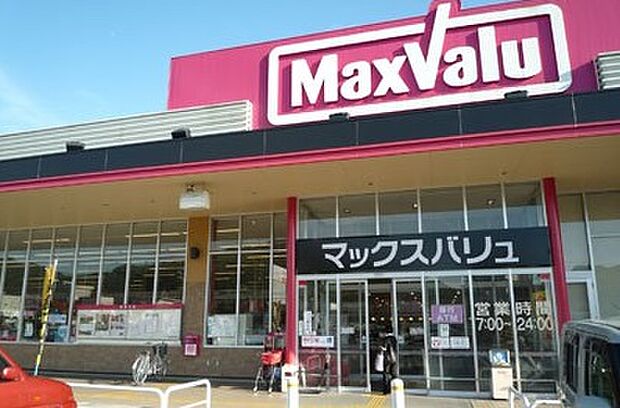 マックスバリュイオンタウン太子店　約1030ｍ(徒歩13分)
