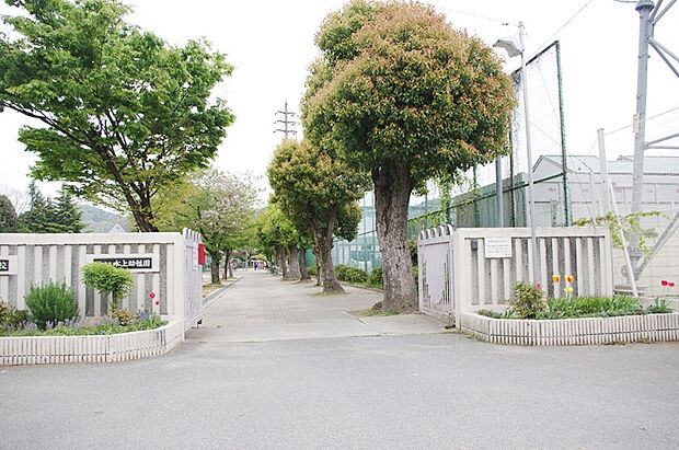 姫路市立水上幼稚園　約320ｍ（徒歩4分）