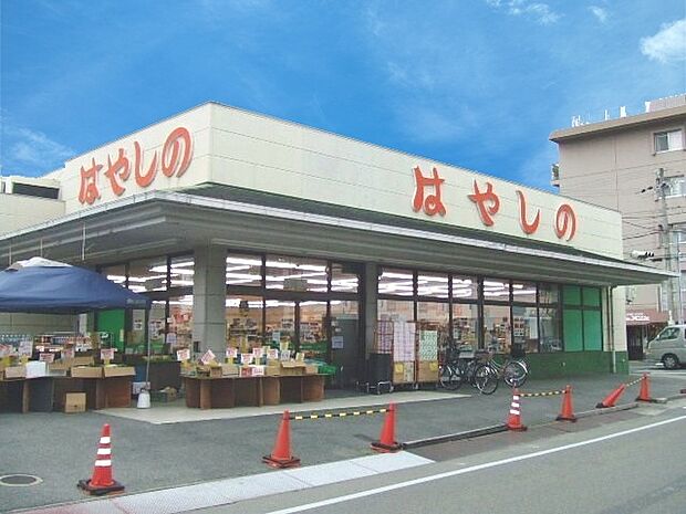 はやしの田寺店　約2910ｍ