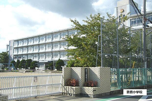 姫路市立妻鹿小学校　約710ｍ（徒歩9分） 