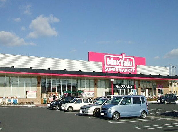 マックスバリュ熊見店 約1000m(徒歩13分)