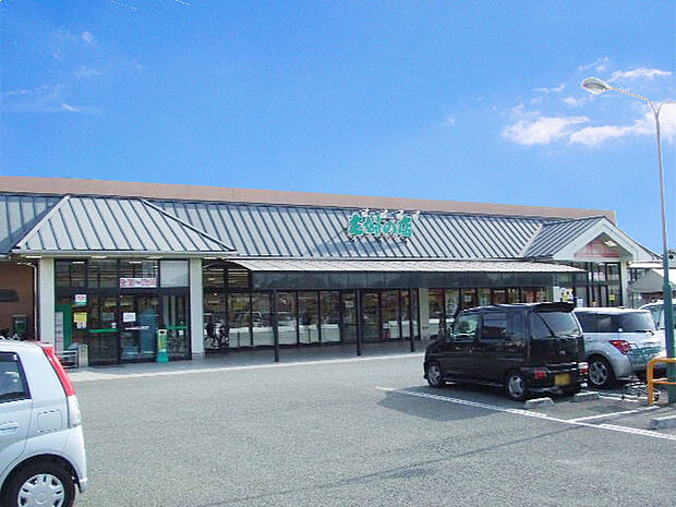 主婦の店宮田店　約800ｍ（徒歩10分）
