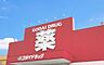周辺：ゴダイドラッグ城北新町店　約860ｍ（徒歩11分）