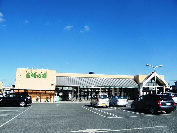 主婦の店岡田店 約1630m