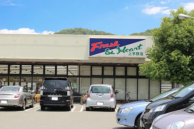 マルアイ上手野店 約890m(徒歩12分)