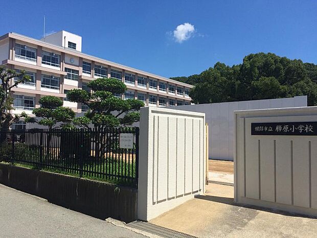勝原小学校 約310m(徒歩4分)