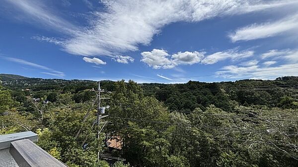 眺望：山の緑が美しく、空は広く感じられます。