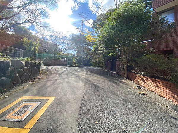 【前面道路】前面道路は3方に面しておりこちらは南東側幅員約6.0m公道です。