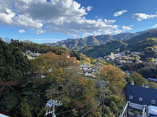 お部屋のバルコニーからの眺望です。