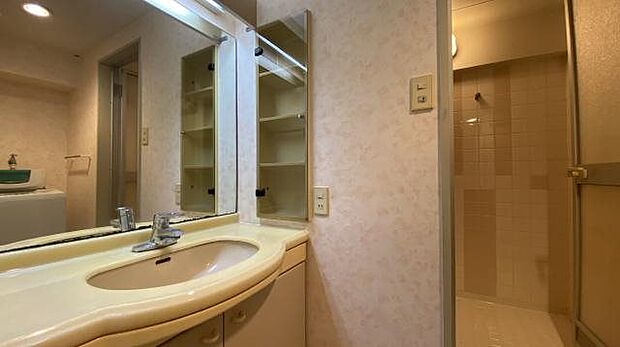 洗面室：余裕のある広さです。壁収納も備わっております。