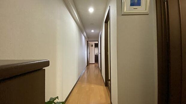 廊下：玄関からの眺めです。床はフローリング仕様。