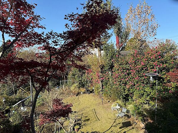 【オーナー様ご提供】秋になるとお庭には紅葉が色づき、お部屋にいながら紅葉狩りを楽しんでいただけます。