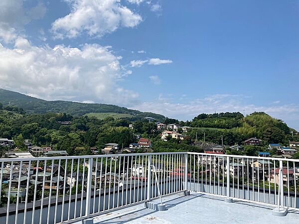 山緑を臨む