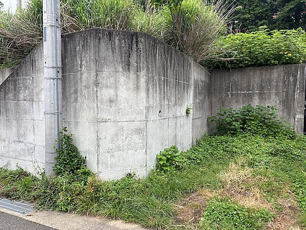 【現地】現在草木が生えておりますが、駐車場スペースです。