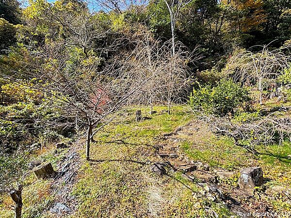 【敷地】敷地内には、ガーデニングを楽しめるスペースが確保されており、季節の花や緑を身近に感じながら暮らすことができます。