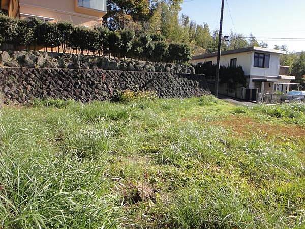 敷地内は基本的に平坦です。建物を建てやすい土地になります。