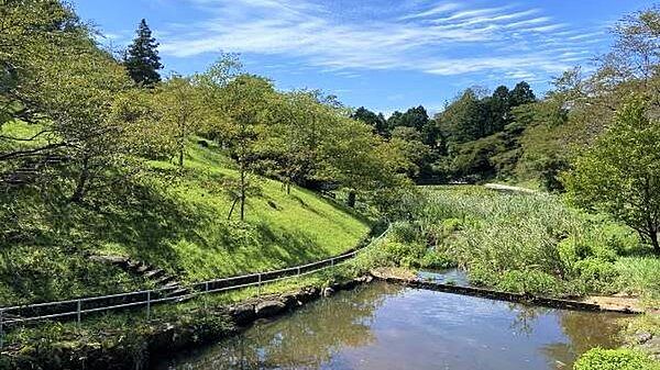 公園：別荘地内には複数の公園が設けられており、お散歩にもおすすめです。