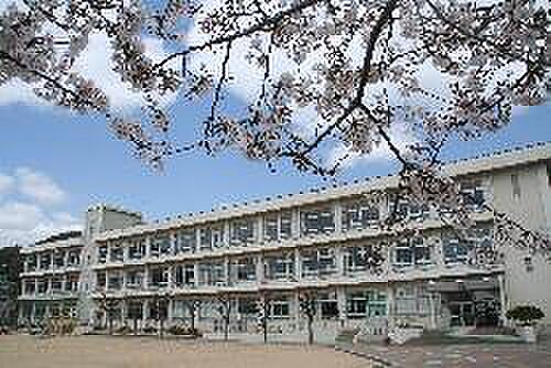 画像19:姫路市立八幡小学校まで716ｍ