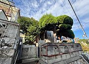 丸山駅より徒歩18分 築34年4ヶ月 2階建の賃貸物件