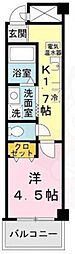 マグノリアパレス 1Kの間取図画像