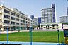 周辺：江東区立越中島小学校 徒歩2分。 130m