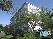 びわ湖美空団地11号棟 5階 築43年の賃貸物件