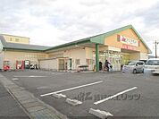 フーズアイランド　日野店まで900メートル