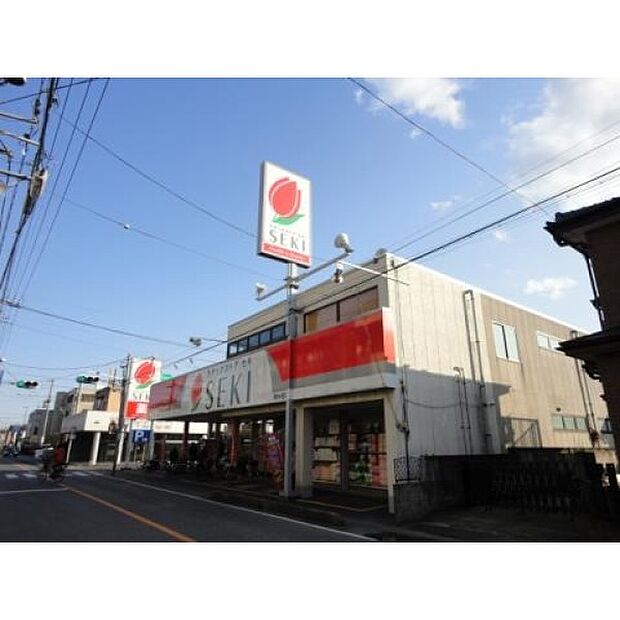 ドラッグストアセキ鳩ケ谷店