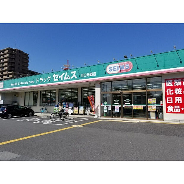 ドッラグセイムス川口元郷店