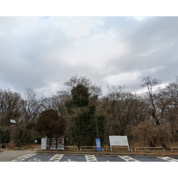 ピクニックの森