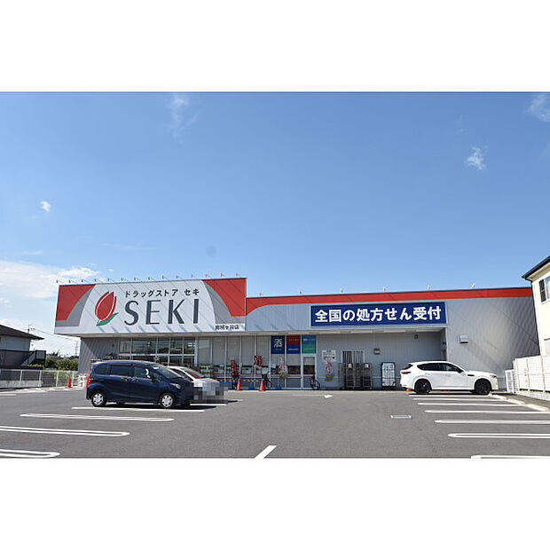 ドラッグストアセキ