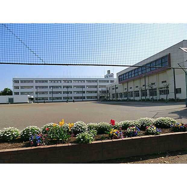 在家小学校