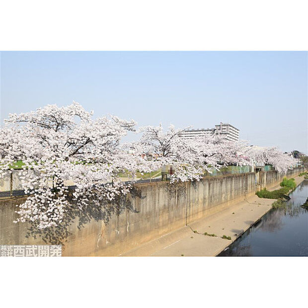 上谷沼運動広場