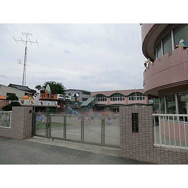 さくら草幼稚園