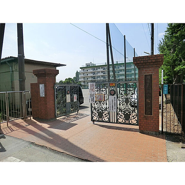白幡中学校