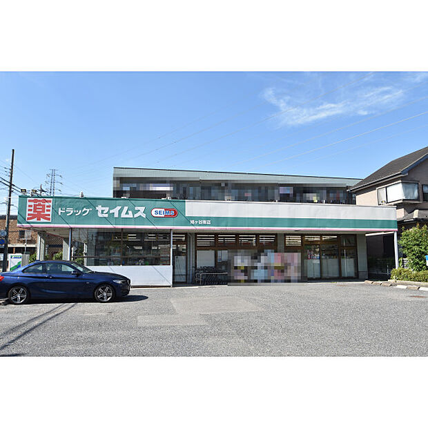 ドラッグセイムス鳩ケ谷南店