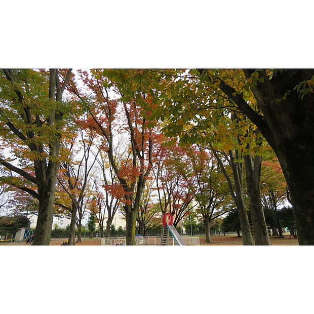 辻公園
