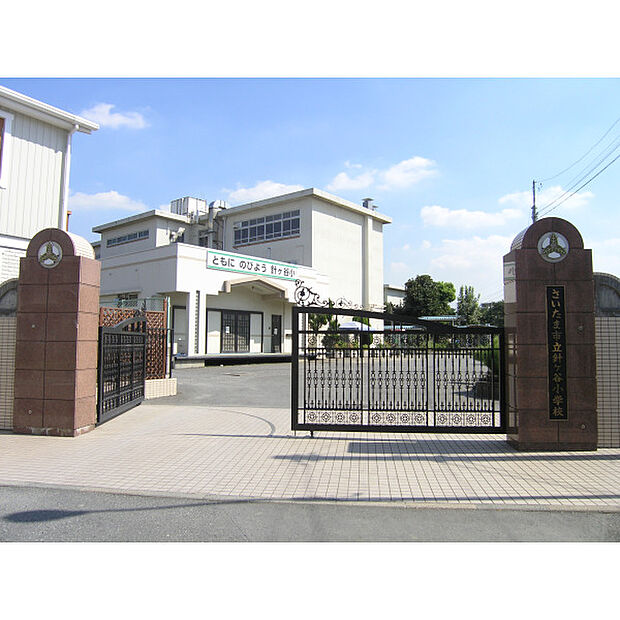 針ヶ谷小学校
