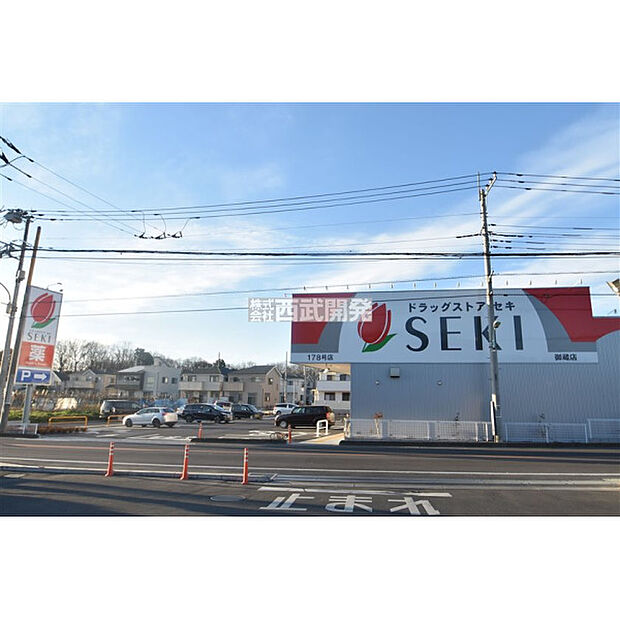 ドラッグストアセキ