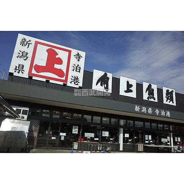 角上魚類
