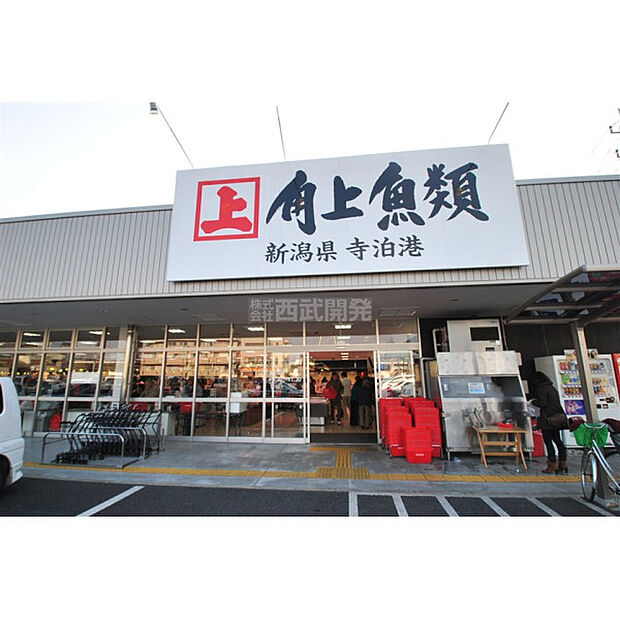 角上魚類