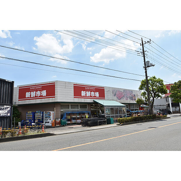 新鮮市場