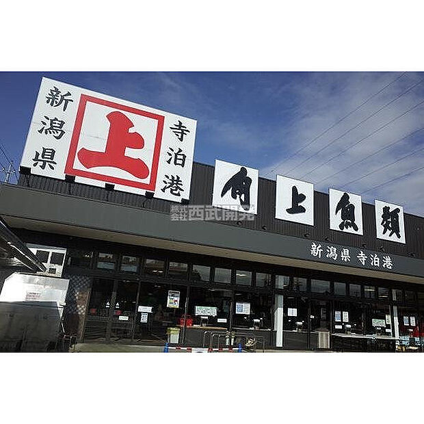 角上魚類