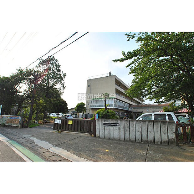 芝川小学校