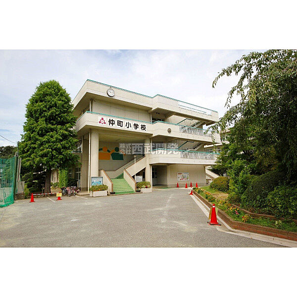 仲町小学校