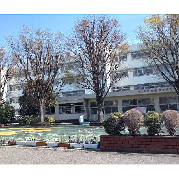 東領家小学校